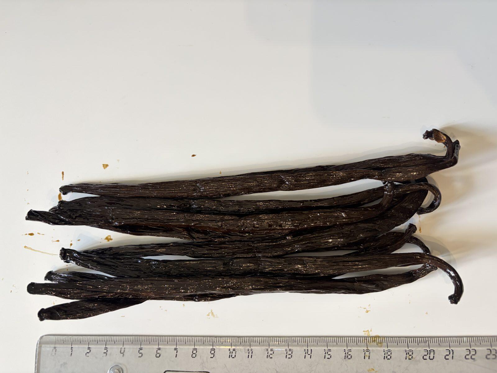 Cured Class A vanilla beans from Costa Rica next to a ruler